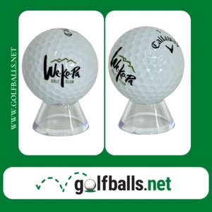 LOGO GOLF BALL - We-Ko-Pa Golf Club Golf Ball (5A Mint)!! - Picture 1 of 3