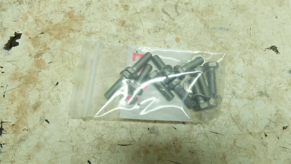 09 Aprilia Scarabeo 500 Scooter Freno Delantero Rotor Disco Montaje Pernos Foto 1 de 1