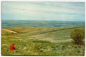 Oregon Wheatfields Checkerboard Postcard Chris-A-Tone K-505 '60s Emigrant Hill - Picture 1 of 2