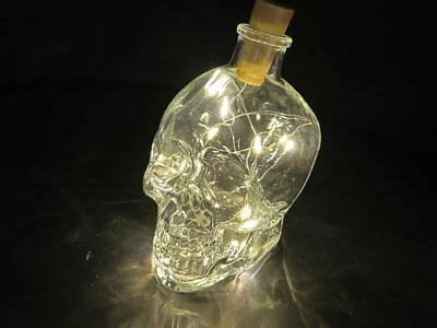 VACÍO Pequeño Cristal Cabeza Vodka Cristal Calavera Lámpara LED Foto 1 de 4