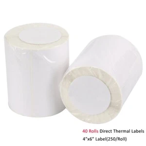 40 rollos 250 etiquetas térmicas directas 4x6 para Zebra 2844 ZP450 Eltron ZP500 ZP505 - Imagen 1 de 6