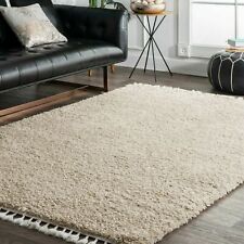 nuLOOM Neva Cozy Plush Shag With Tassels Area Rug in Beige Modern/Contemporary