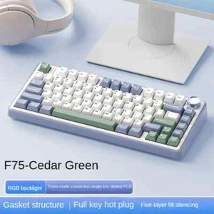 Wireless Mechanical Keyboard,Gamer Keyboard Customized Hot-Swap Layout - Picture 1 of 23