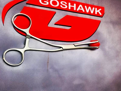 FÓRCEPS DE INCAUTACIÓN DE LENGUA JOVEN Instrumentos quirúrgicos de hospital y veterinarios Foto 1 de 4