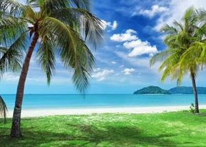 7x5FT Hawaiian Summer Beach Backdrop Luau Party Ocean Blue Sky Background - Picture 1 of 6