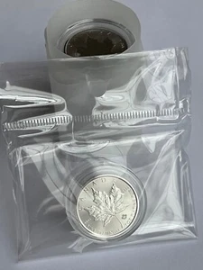 2025 1 Oz Canadian Maple Leaf .9995 Platinum Coin Brand New Mint in Case & Bag - Picture 1 of 3