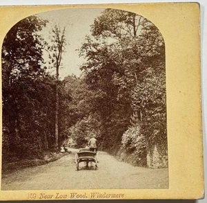 Madera casi baja, Windermere, vista del bosque del distrito de los lagos vista estéreo de colección - Imagen 1 de 4
