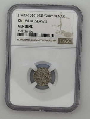 Hungary Wladislaus II Denar (1490–1516) NGC Genuine Silver Medieval Coin GENUINE - Image 1 of 4