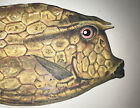Couch 1877 British Fishes Original Hand Colored Steel Engraving Boxfish
