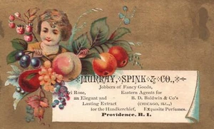 1880s-90s Girl Among Fruit Murray Spink & Co. Jobbers Fancy Goods RI Trade Card - Picture 1 of 2