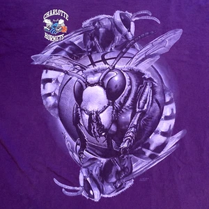 Vtg Charlotte Hornets Men Pro Player T-Shirt Hugo Bees USA Single Stitch Tee 2XL - Picture 1 of 16