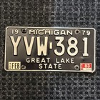 Original US Auto Kennzeichen Nummernschild USA 🇺🇸 Michigan Great Lake State 