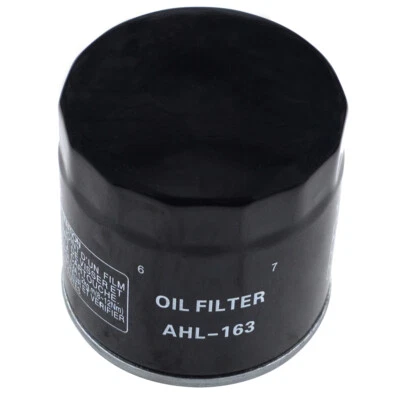 Filtro de aceite para BMW K1200LT/C R1100 R1150 R/RT/RS/GS R1200 K75 K1100 R850R HF163 Foto 1 de 4