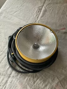 Lowell Quartz D Direct Focus and Tilt Spot & Flood Light Tungsten Halogen - Picture 1 of 9