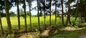 Huge plot of land for private or investment - Bild 1 von 21