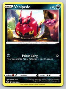 Venipede 105/198 Common Chilling Reign Pokémon-Karte - Neuwertig - Bild 1 von 2