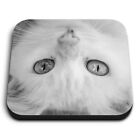 Square MDF Magnets - BW - White Cats Eyes  #38076