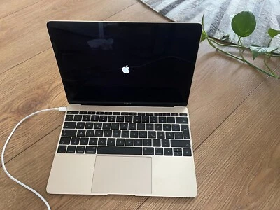 Apple MacBook 12" (Retina Display) 1.1 GHz Intel Core M3 8 GB RAM 256 GB PCIe SS - Bild 1 von 4