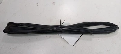 Nissan Sentra Door Glass Window Seal Rubber Left Rear Back 2012 2011 2010 2009 - Image 1 of 4