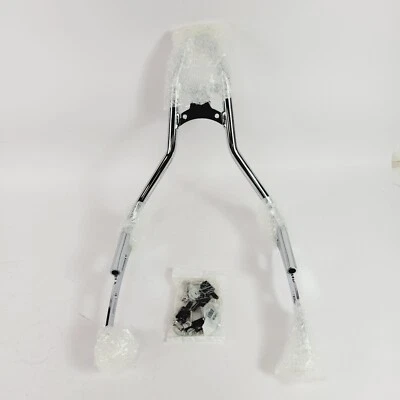 Nuevo OEM Indian 2022-2024 Chief Fijo Tornillo Sissy Bar Cromo 2884631-156 Foto 1 de 4