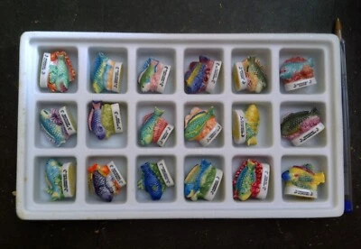 Coffret 18 fèves - Éditions Atlas - Poissons tropicaux - Brillant - Photo 1/2