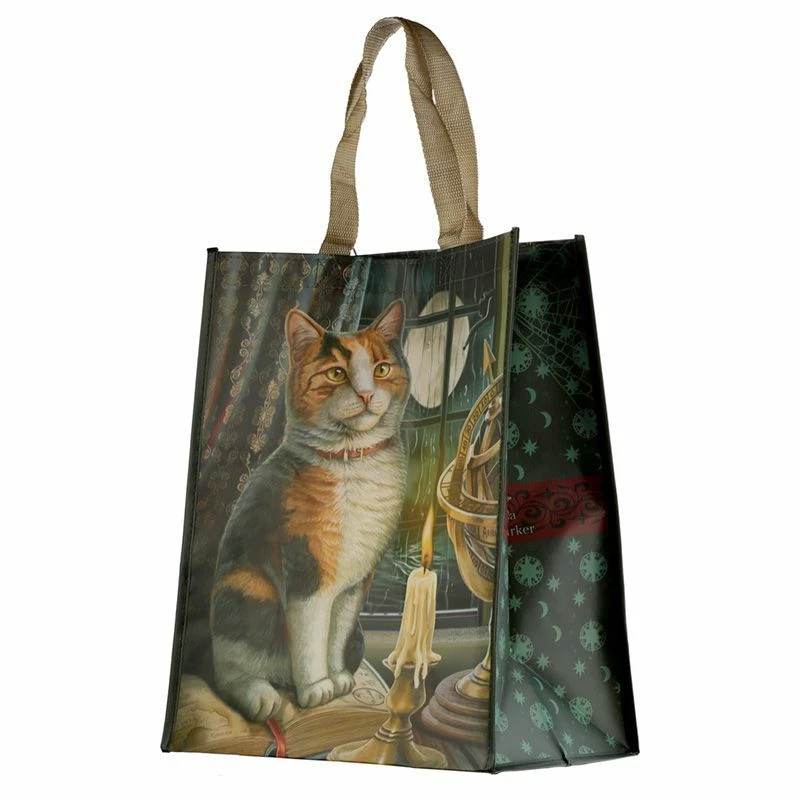 Lisa Parker Adventure Awaits Cat Shopping Bag NWBAG79