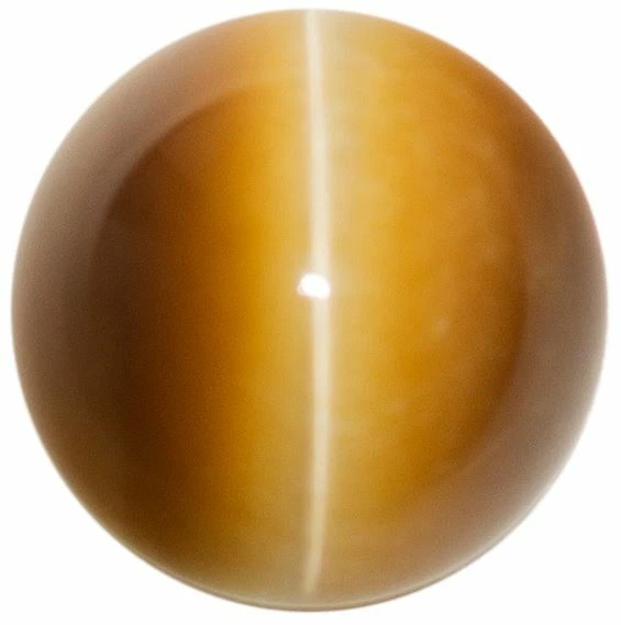 Natural Extra Fine Golden Honey Cat's Eye - Round Cabochon - South Africa - AAA+ - Image 1 of 1