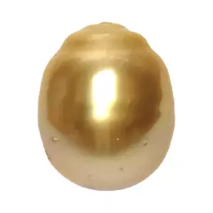 High Quality 13.9 x 16.9mm 23.6 Carats Rich Gold Philippines South Sea Pearl - Picture 1 of 8
