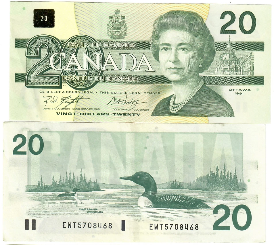 Canadá 20 dólares 1991 EF "EWT" Knight/Dodge Foto 1 de 1