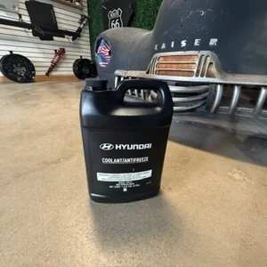(1) OEM NEW HYUNDAI One Gallon Long Life Coolant Antifreeze 00232-19010 - Bild 1 von 3