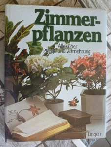 Lingen Zimmerpflanzen Alles über Pflege und Vermehrung aus 1985 - Bild 1 von 4