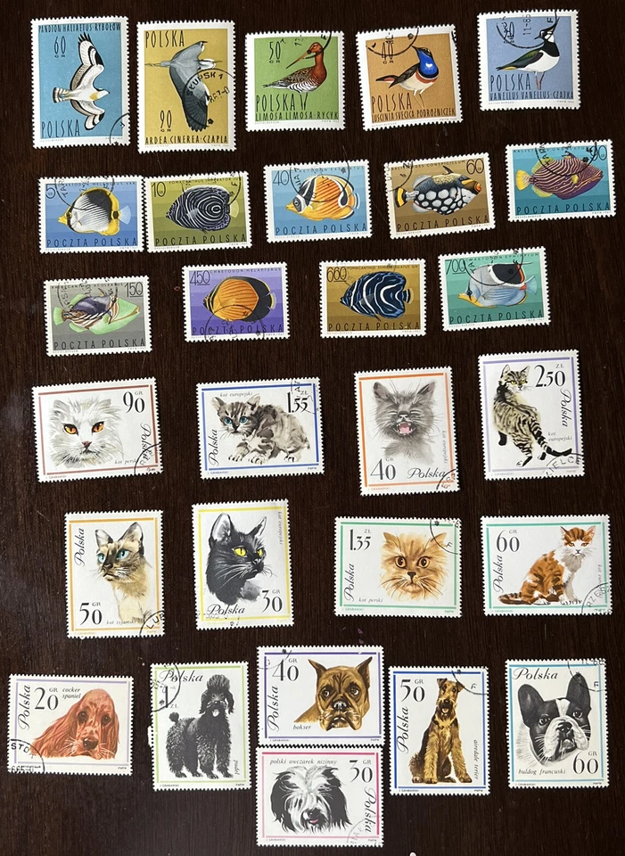 大量 波兰动物邮票 批量 所有不同的 几套 鸟类 鱼宠物 — 第 1/4 张图片