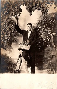 Studio Foto Requisite Mann Leiter pflückt Äpfel vom Baum Echtfoto Postkarte D593 - Bild 1 von 2
