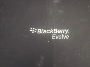 Blackberry Evolve BBG100-1 - Picture 1 of 6