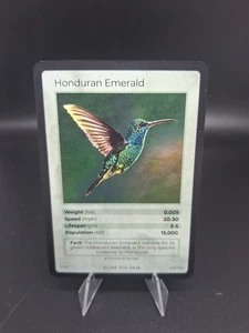Life Tcg Birds: Honduranischer Smaragd HOLO 44/130 - Bild 1 von 1