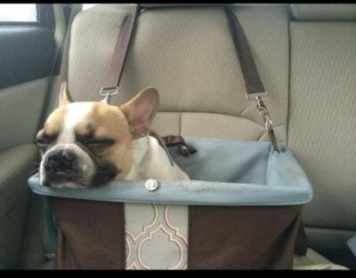 KURGO ROVER ASIENTO ELEVADOR COCHE MASCOTA CON CINTURÓN DE SEGURIDAD HASTA 30 LIBRAS PERRO Marrón Foto 1 de 4