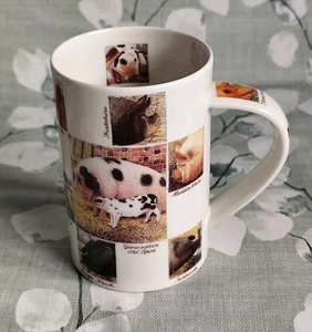 Dunoon 'Old Breeds' Pigs Mug By Richard Partis Stoneware Made In Scotland 4.5" - Picture 1 of 11