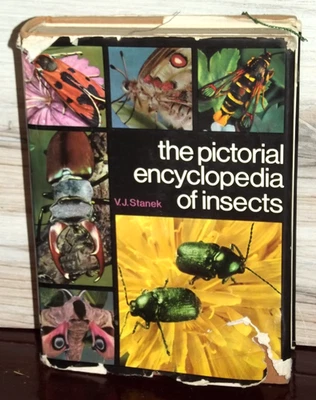 Vintage 1970 The Pictorial Encyclopedia of Insects By V.J Stanek Entomology B84 - Image 1 of 2