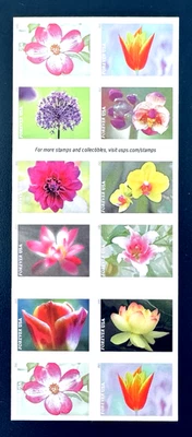 SoCo Stamps US Scott #5567b Flowers  Garden Beauty Full Booklet of 20 -2020 MNH - Image 1 of 2