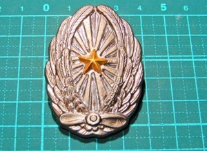  Japanische Armee Fliegerpilotenabzeichen Kaiserreich WWII Gedenkmedaille  - Bild 1 von 3