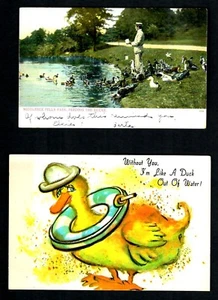 A10 Ohne dich bin ich wie eine Ente aus dem Wasser, Füttere die Enten Fells Park, - Bild 1 von 2