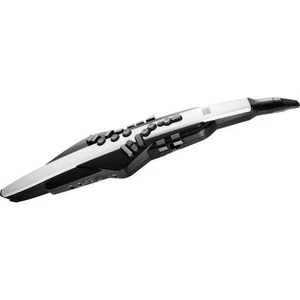 ROLAND Aerophone AE-20 Digital Synthesizer Musical instruments - Picture 1 of 6