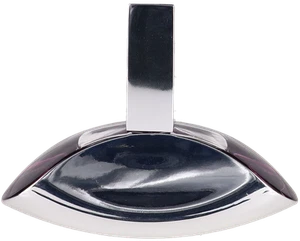 Euphoria by Calvin Klein Women Eau de Parfum Spray Perfume 1.6oz Unboxed New - Picture 1 of 1