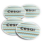 4x 10cm Vinyl Stickers Name Cesar Letter Lettering