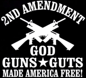 2a Enmienda God Guns Guts Coche Ventana Vinilo Calcomanía Gráfica América Pegatina NUEVA - Imagen 1 de 3
