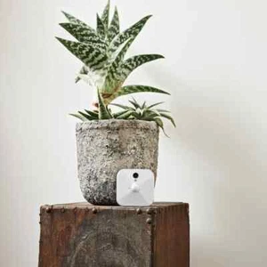Blink Sistema de cámaras de seguridad para interiores | con detección de movimie - Bild 1 von 2