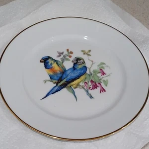 PARROT MOTIF JKW WESTERN GERMANY FINE PORCELAIN GOLD TRIMMED PLATE SALAD DISPLAY - Picture 1 of 3