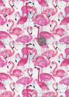 Scrap Of Fabric Fat 8Th 9X21 For Crafts, Quilting, Pink Flamingos