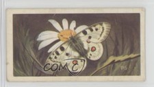 1963 Brooke Bond Wildlife in Danger Tea Alpine Apollo Butterfly #50 0y5