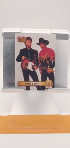 1993 Sterling Country Gold - Series 2 - Trading Card - Pick Your Card